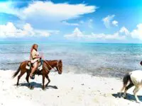 90-Minute Private Ride