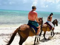 Horseriding Session (Friday)