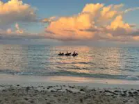 Romantic Sunset Ride