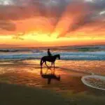sunset-ride