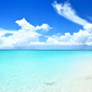 Health advantages for riding horses on the beach