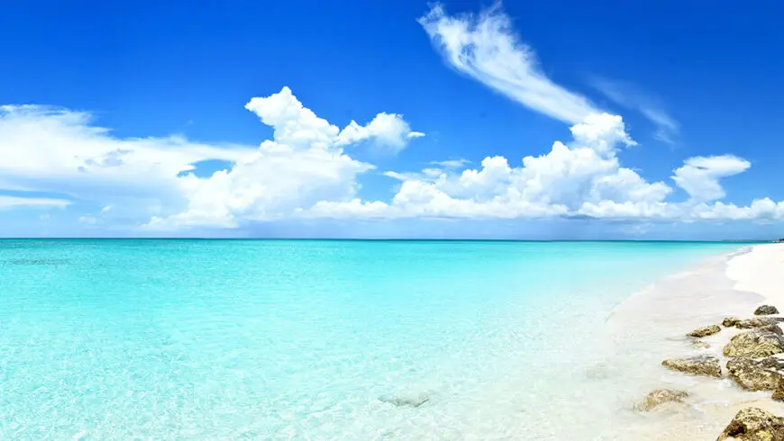 Health advantages for riding horses on the beach