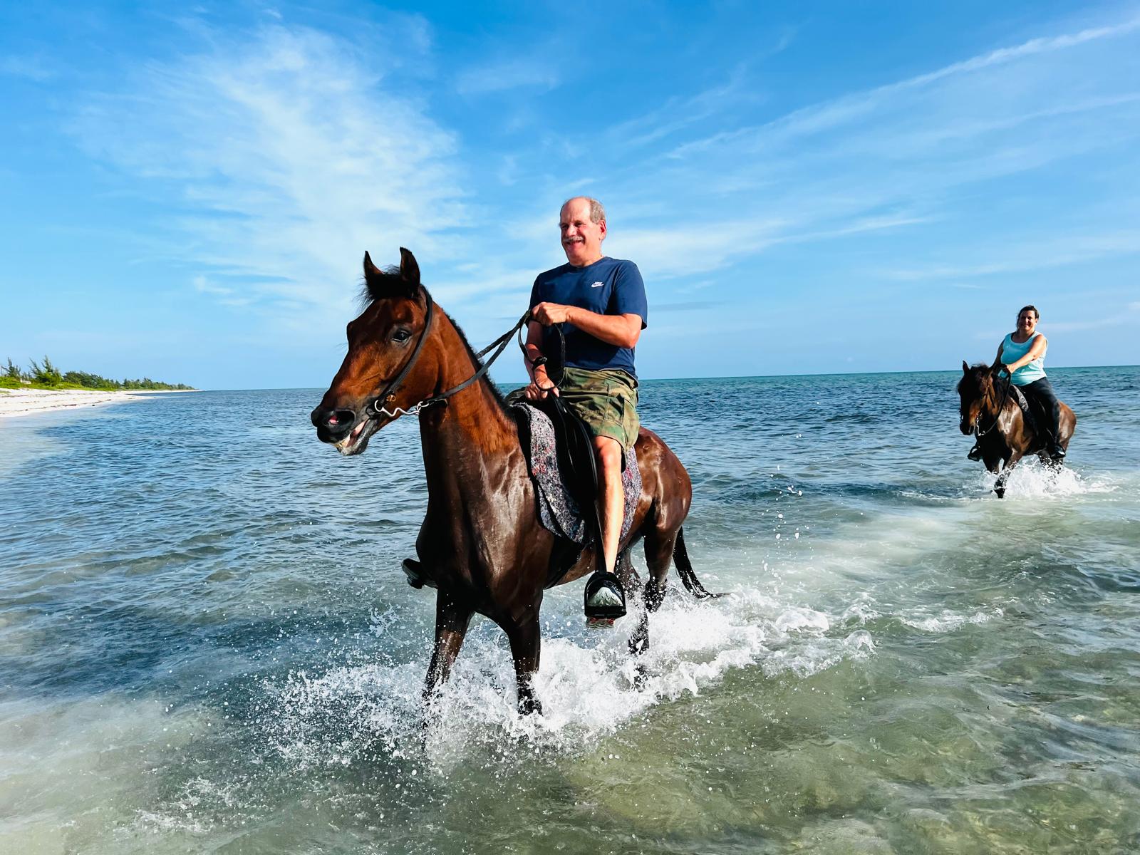 Happy horses on the beach in Turks and Caicos