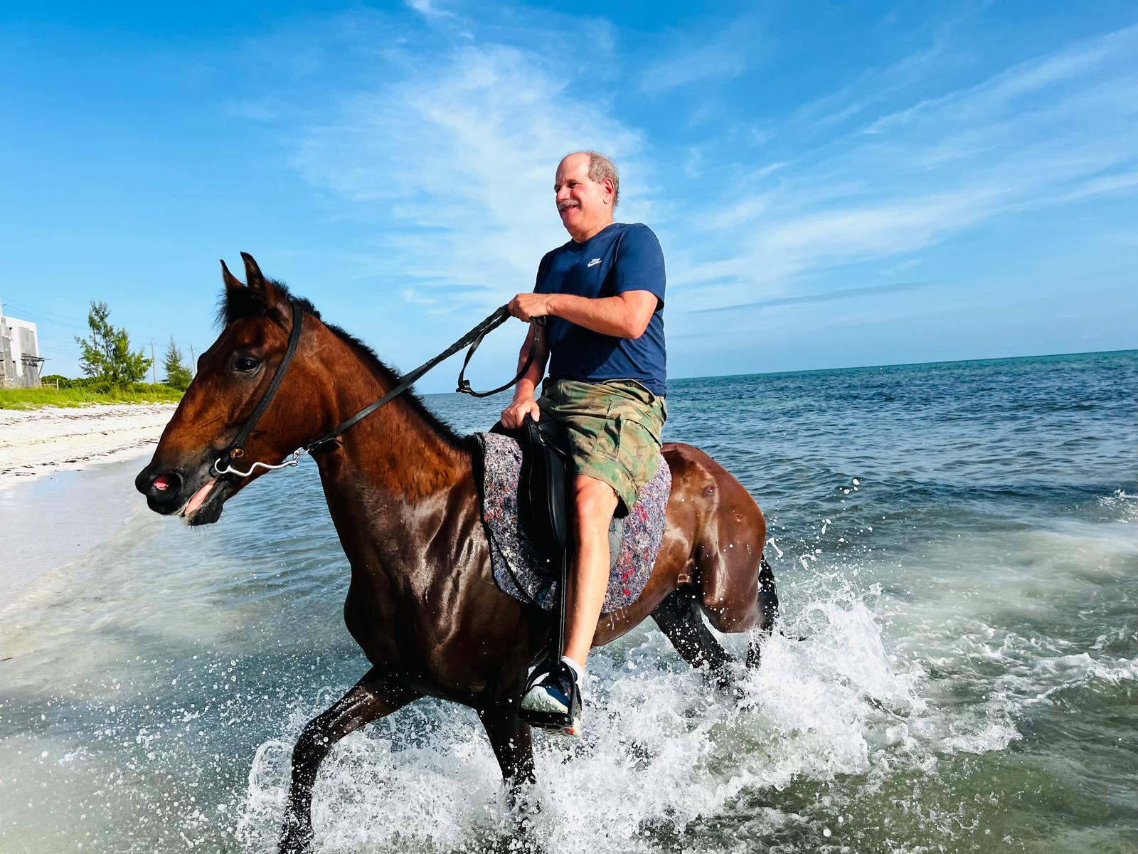 Family-friendly horse