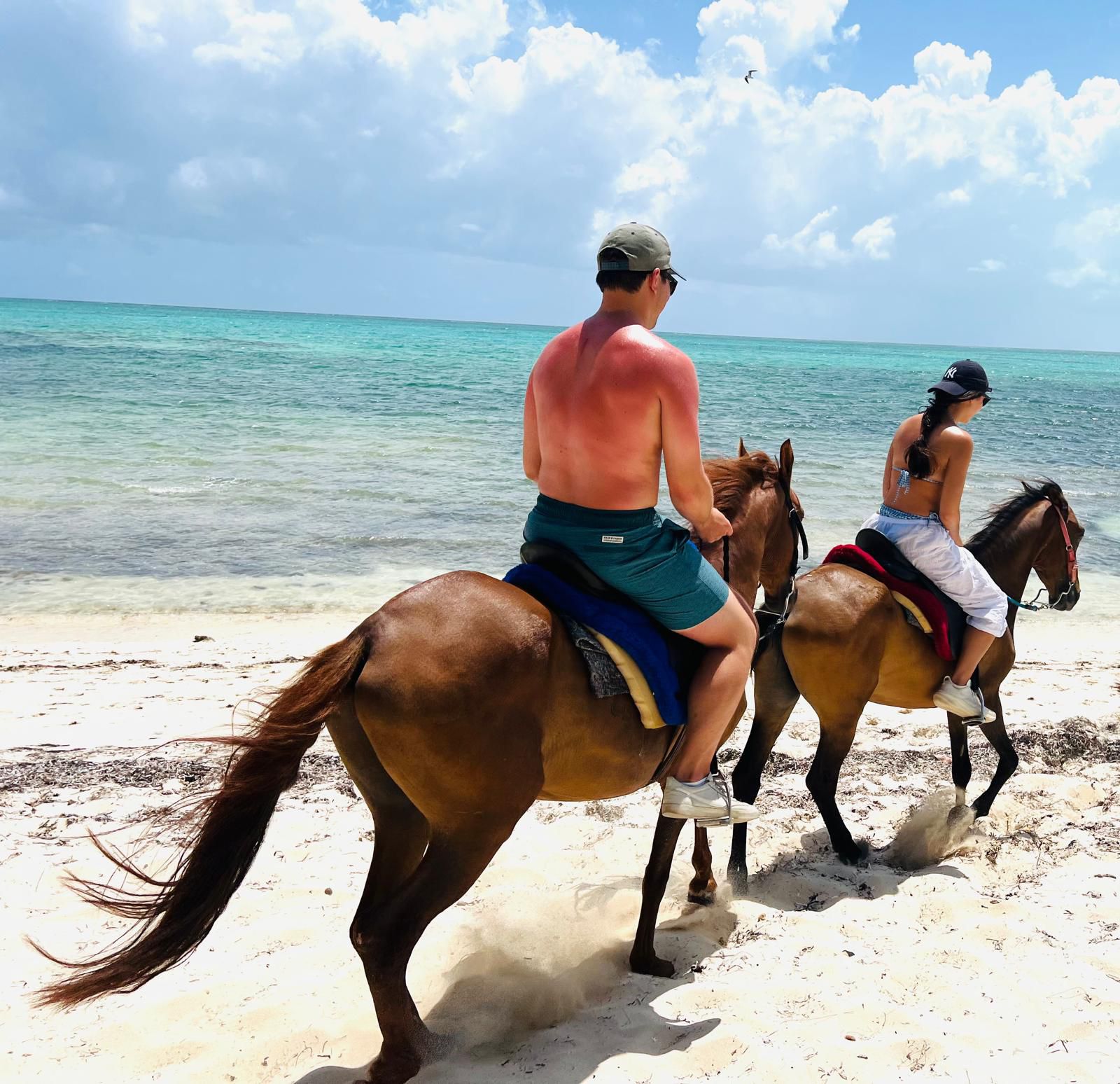 Experienced riding horse on beach