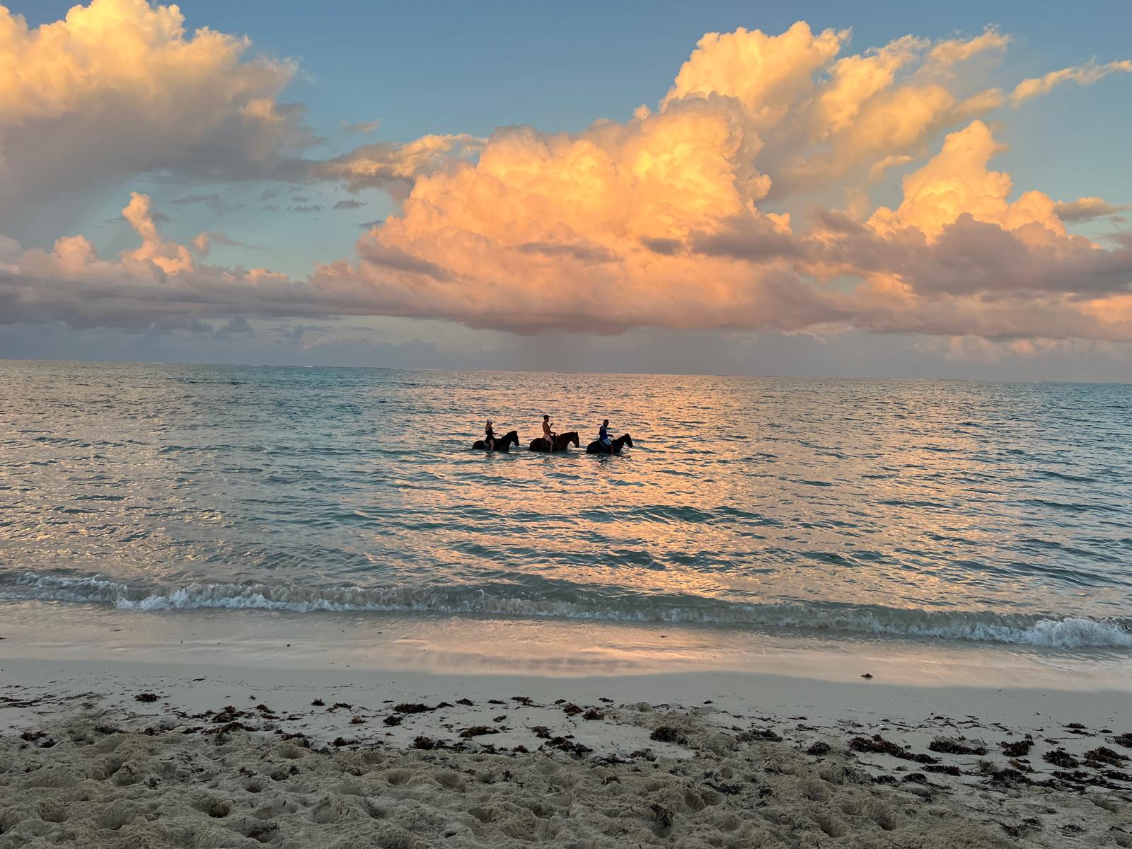Family horseback riding on beach
