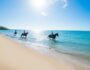 What to wear for horseback riding on the beach?