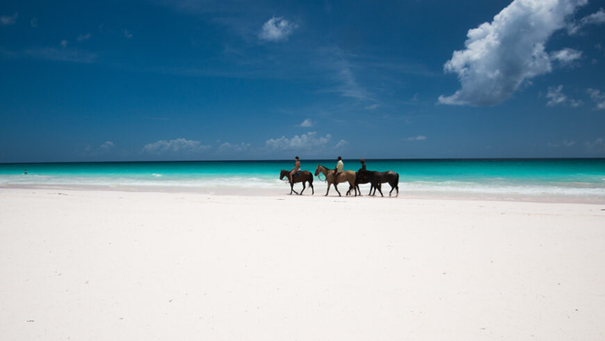 What to pack for horse riding on the beach?